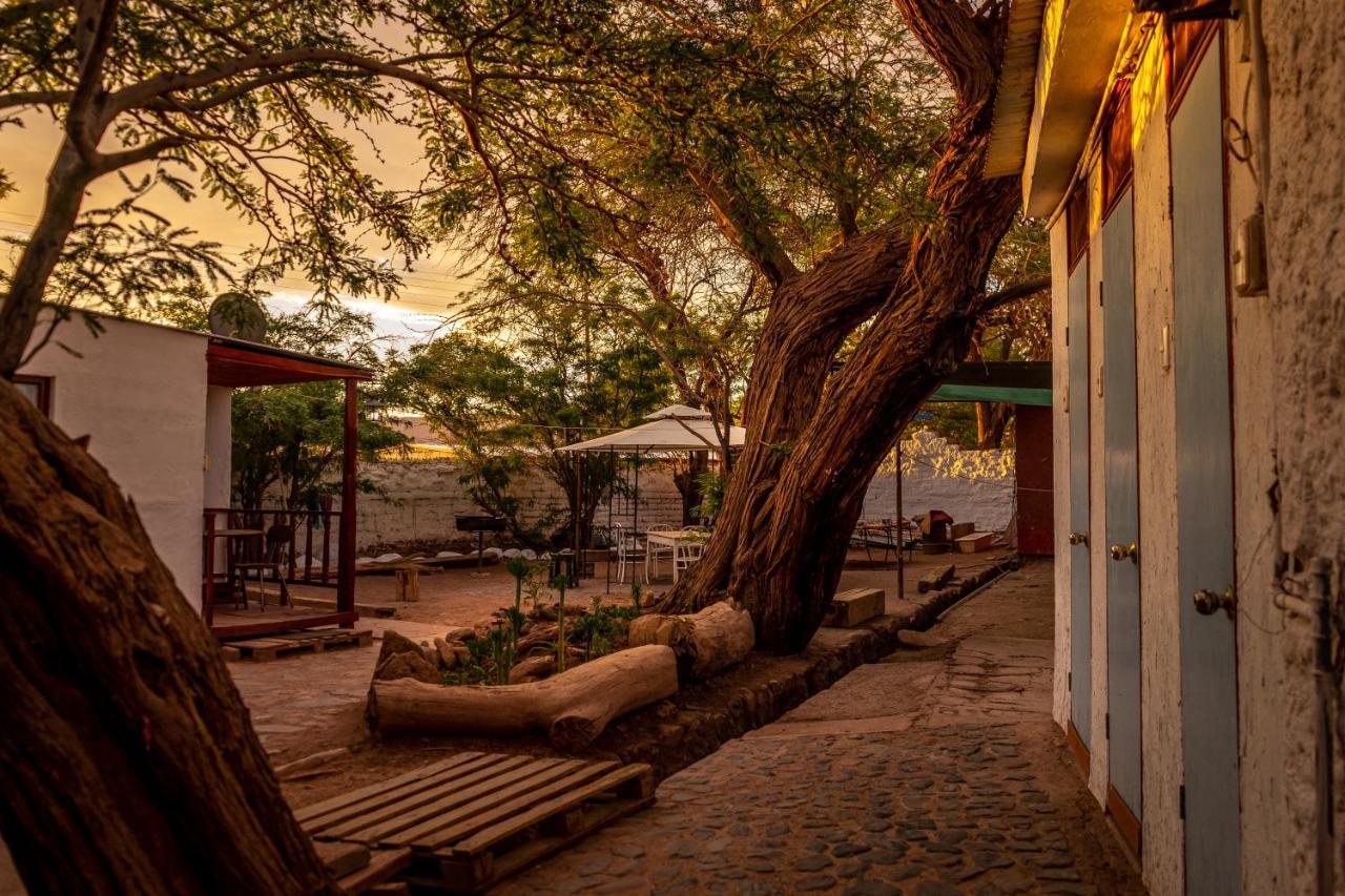 Отель La Casa Del Sol Naciente Сан-Педро-де-Атакама Экстерьер фото